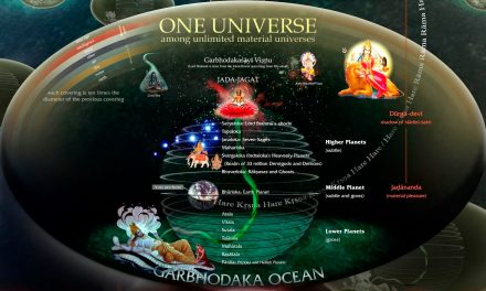 Seeing the Universe from the Vedic Perspective